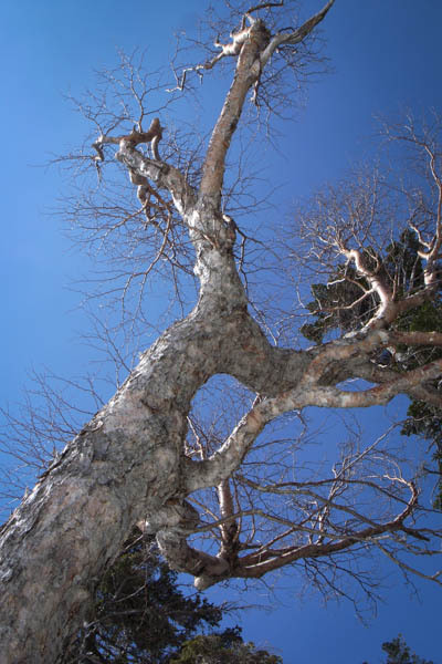 20140428c