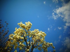 20120401e
