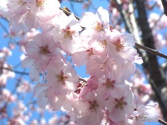 20120401c