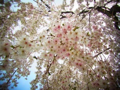 20120407a