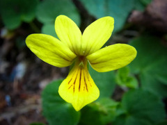 20120630j