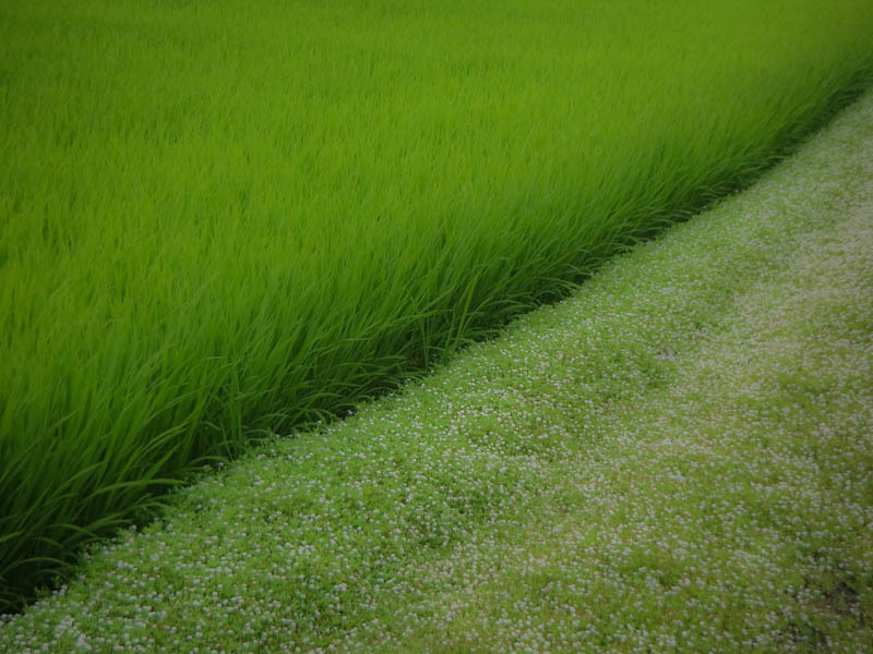 20120722e