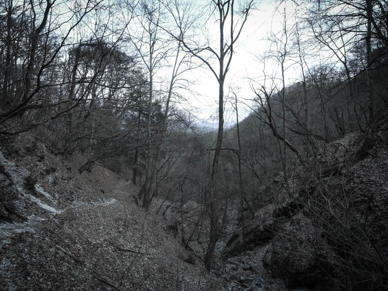20130103c