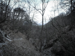 20130103c