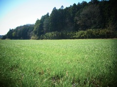 20120408b