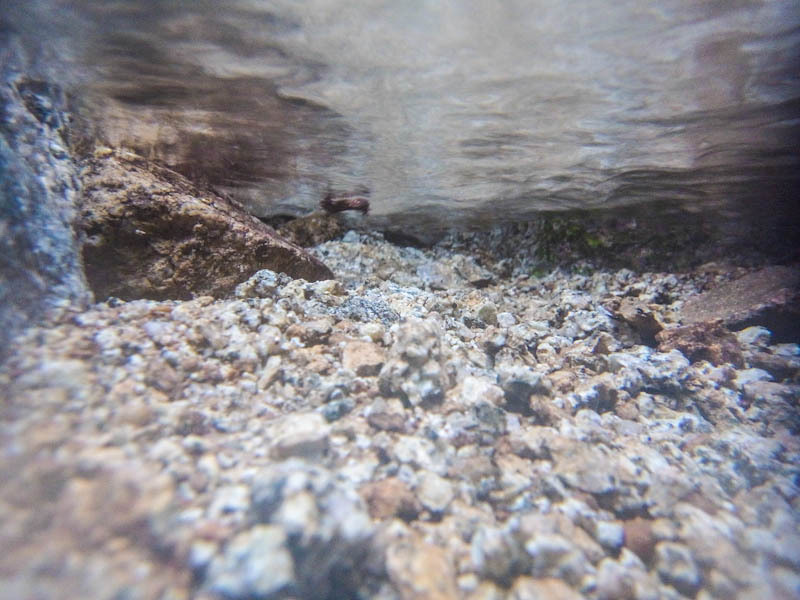 20120715h