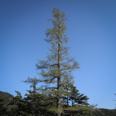 20131013e