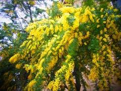 20120407c
