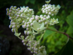 20120729e