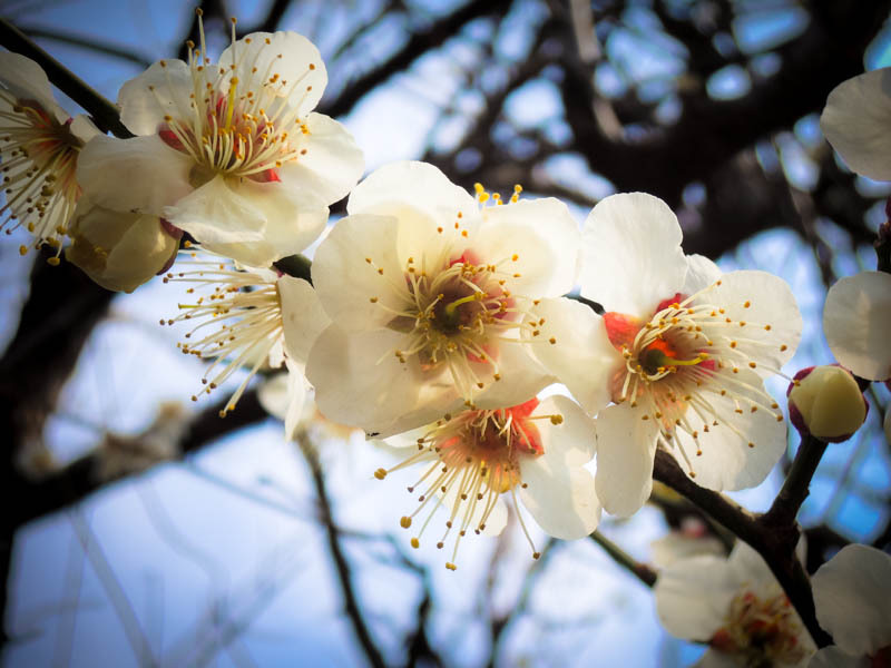 20130303a