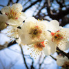 20130303a