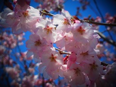 20120401a