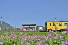 春の大鶴駅