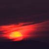 太陽にほえた