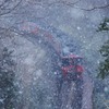 雪の九州鉄道