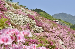 つつじ鉄道