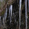 氷の根