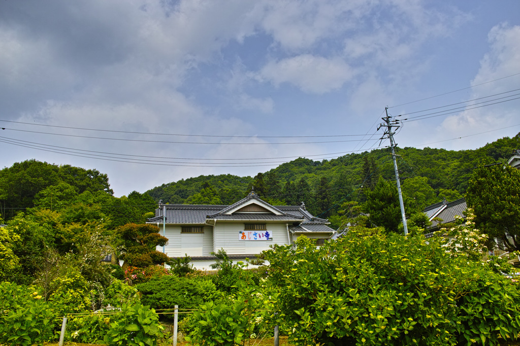 あじさい寺