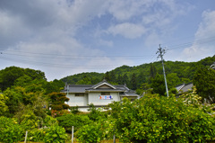 あじさい寺