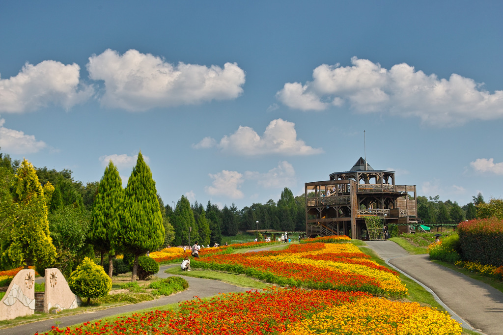 備北丘陵公園　秋まつり2013