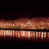 桜橋公園の夜