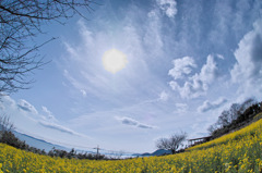 瀬戸内海を望む