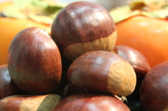 chestnuts