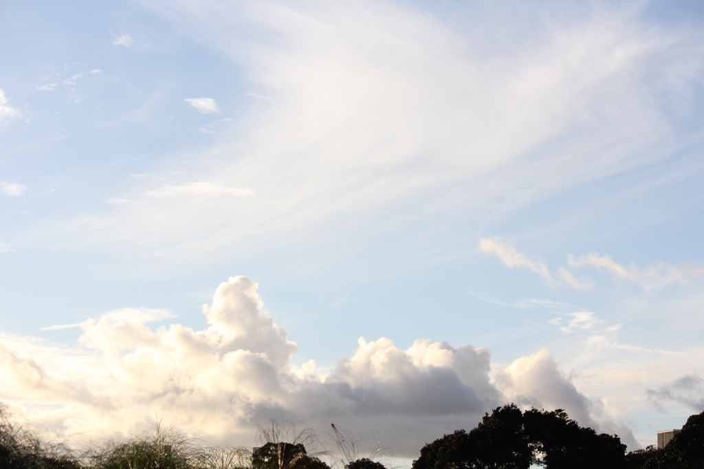 The sky