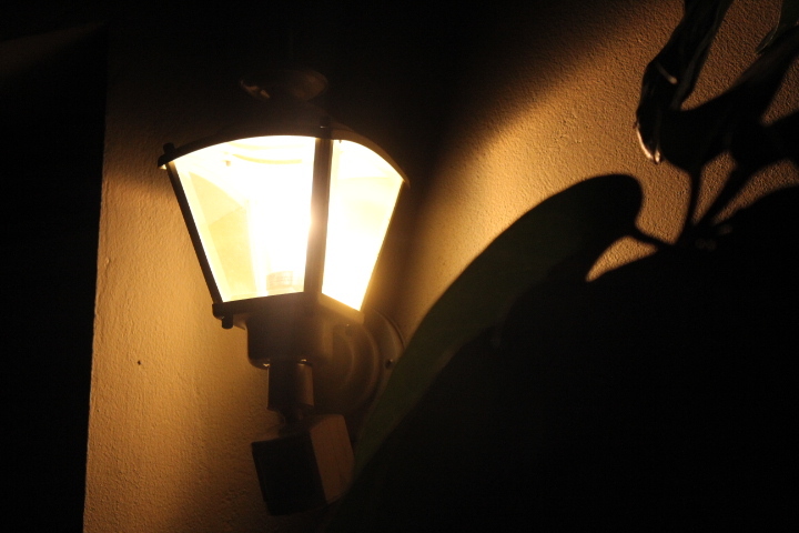 night time