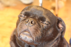 I'm feeling so drowsy.