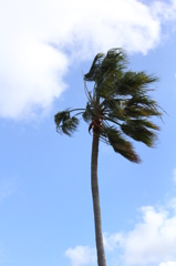 strong windy～