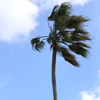 strong windy～