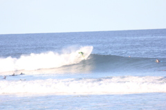 spray