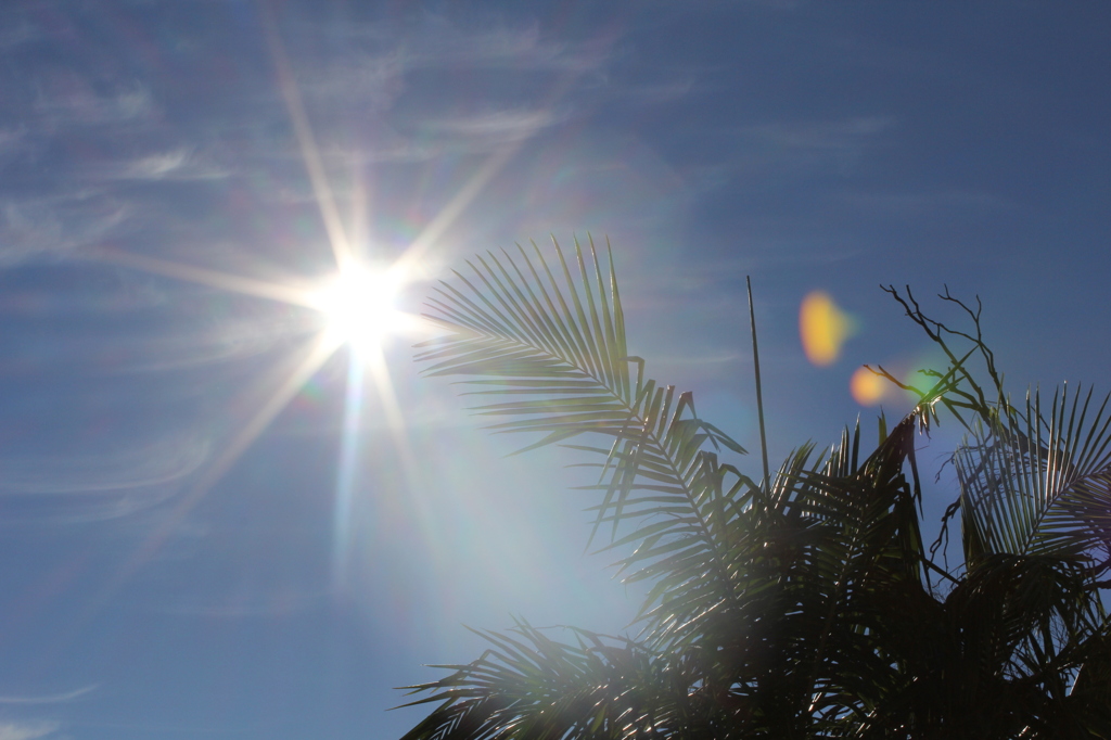 sunshine