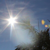 sunshine