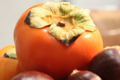 persimmon