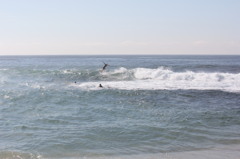 surfing