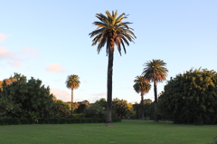 piece of scenery