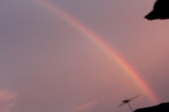 prismatic