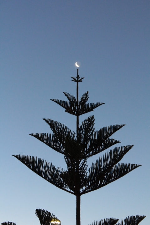 decoration