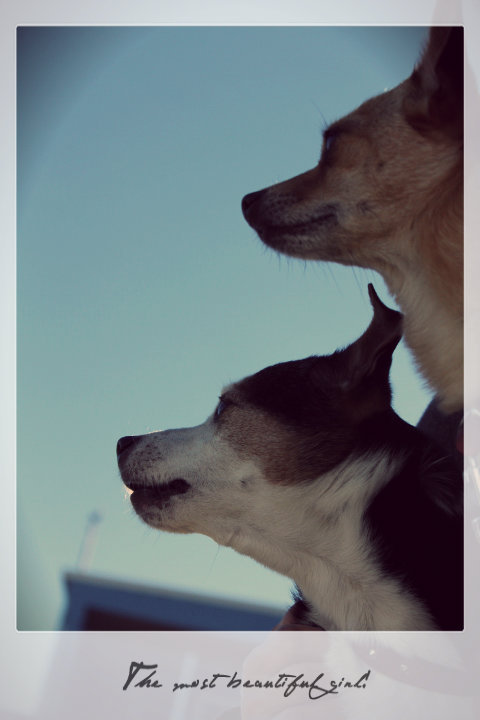 always with you