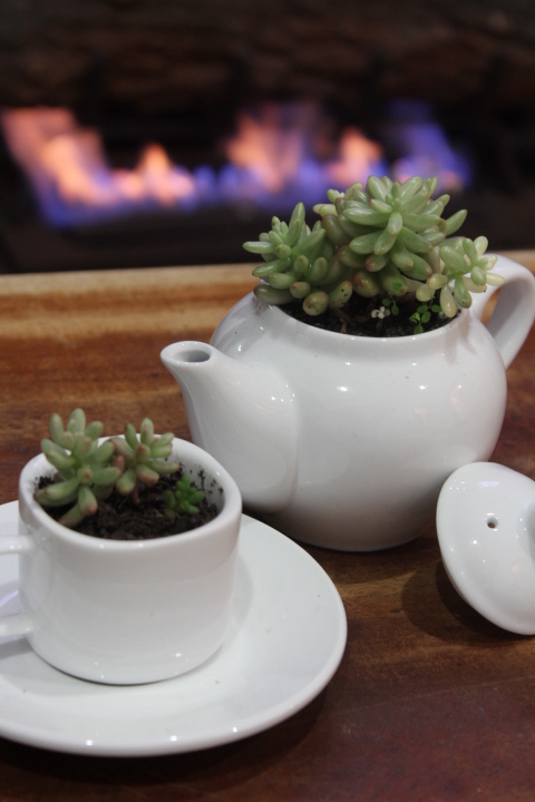 Tea Time