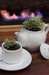 Tea Time
