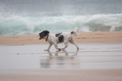 Lets walk on the beach.