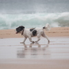 Lets walk on the beach.
