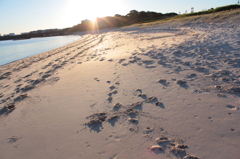 a lively beach