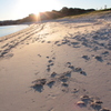 a lively beach