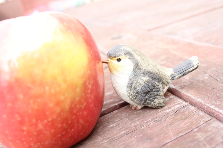 peck!