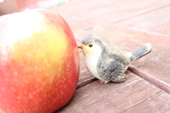 peck!