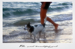 Let's walk on the beach .....